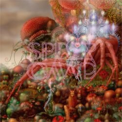Spidergawd <br> Spidergawd IV - LTD (LP)