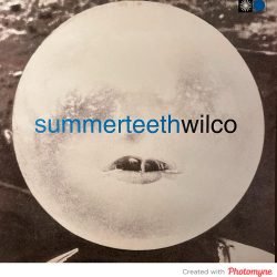 Wilco <br> Summerteeth - 2LP (1.press)