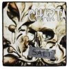 Charta 77 <br> Salt (LP)