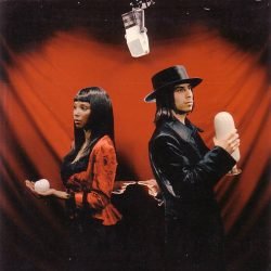 White Stripes <br> Blue Orchid / The Nurse (7")