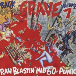 Diverse Artister <br> Back From The Grave Volume 7 (2LP)