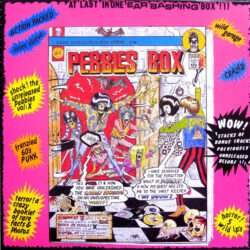Diverse Artister <br> Pebbles Box (5LP)