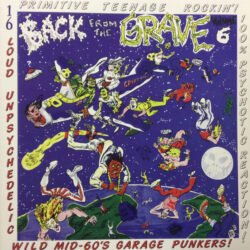 Diverse Artister <br> Back From The
  Grave Volume 6 (LP)
