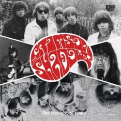 The Crimson Shadows <br> One Step Beyond Sanity (LP)