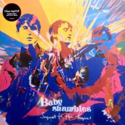 Babyshambles <br> Sequel To The Prequel (LP)