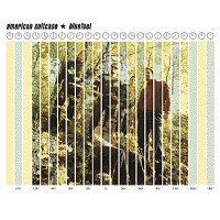 American Suitcase <br> Bluefoot (LP)