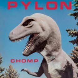 Pylon <br>
  Chomp - LTD (LP)